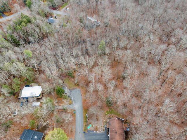 Cathalia Ct Tr 154e, Fallsburg, NY 12733