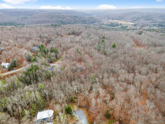 Cathalia Ct Tr 154e, Fallsburg, NY 12733