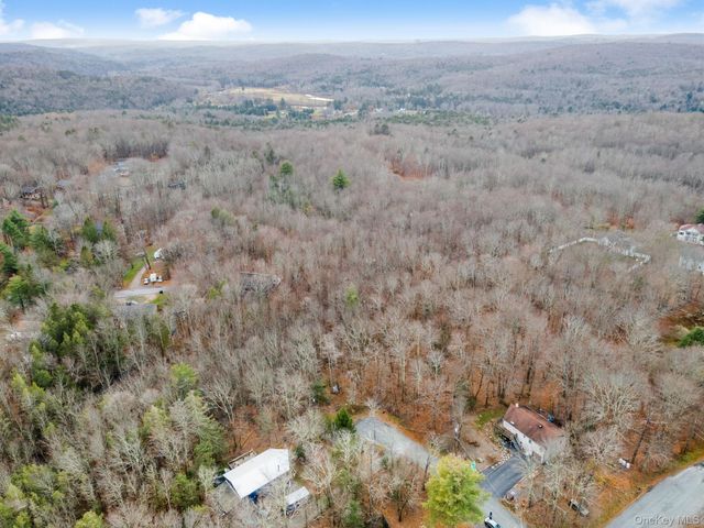 Cathalia Ct Tr 154e, Fallsburg, NY 12733