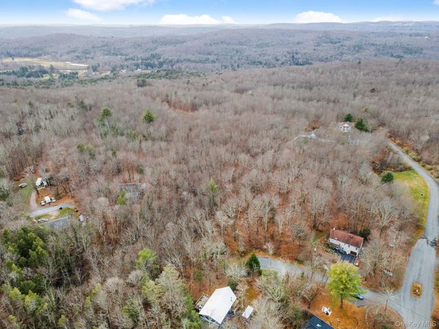 Cathalia Ct Tr 154e, Fallsburg, NY 12733