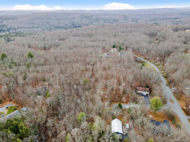Cathalia Ct Tr 154e, Fallsburg, NY 12733