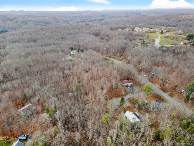 Cathalia Ct Tr 154e, Fallsburg, NY 12733