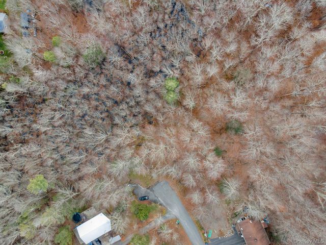 Cathalia Ct Tr 154e, Fallsburg, NY 12733