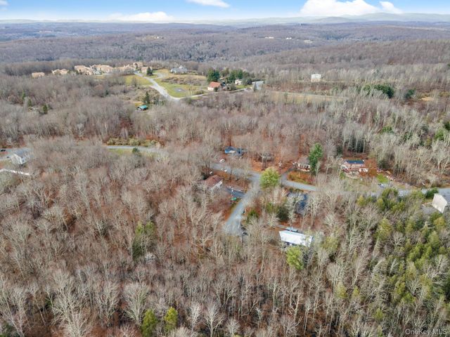 Cathalia Ct Tr 154e, Fallsburg, NY 12733