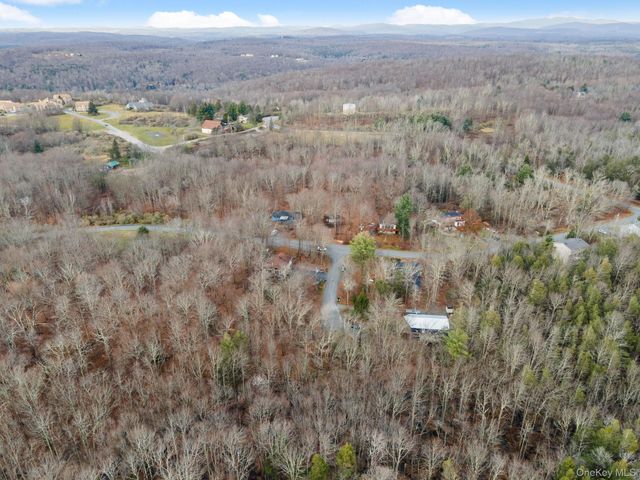 Cathalia Ct Tr 154e, Fallsburg, NY 12733