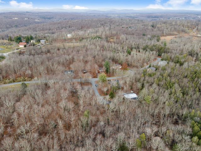 Cathalia Ct Tr 154e, Fallsburg, NY 12733
