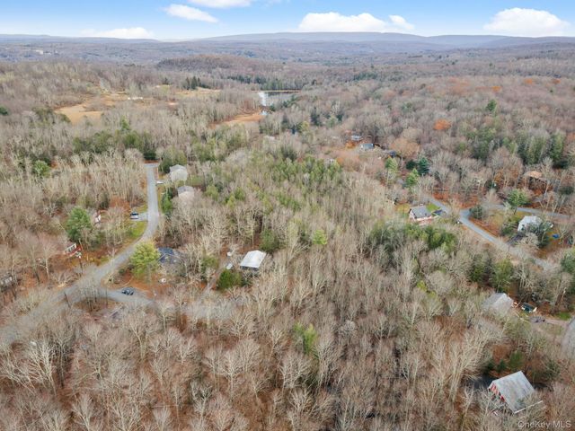 Cathalia Ct Tr 154e, Fallsburg, NY 12733