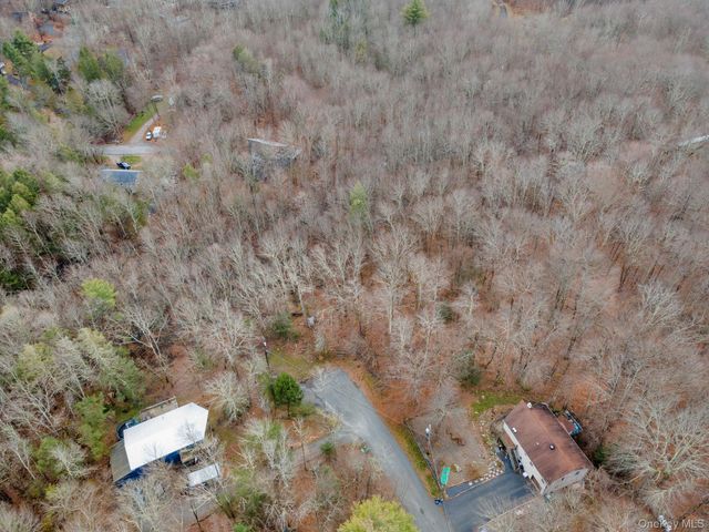 Cathalia Ct Tr 154e, Fallsburg, NY 12733