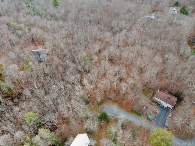 Cathalia Ct Tr 154e, Fallsburg, NY 12733