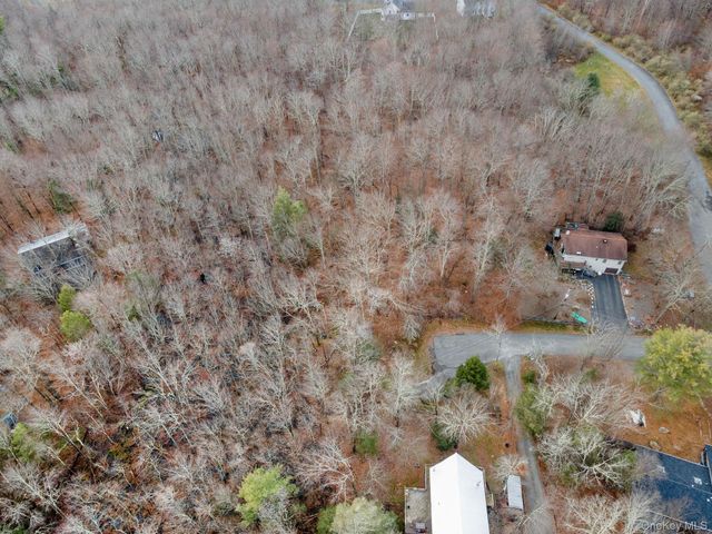 Cathalia Ct Tr 154e, Fallsburg, NY 12733