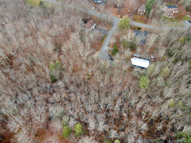 Cathalia Ct Tr 154e, Fallsburg, NY 12733