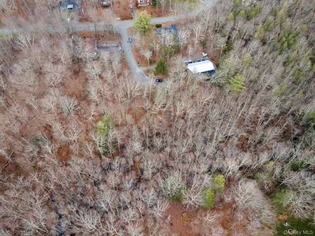 Cathalia Ct Tr 154e, Fallsburg, NY 12733