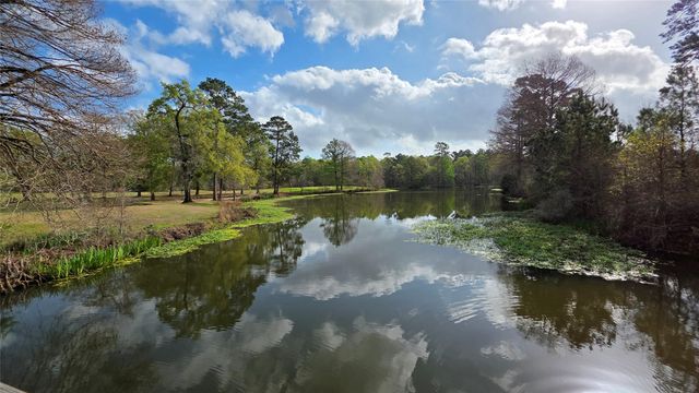 00 E Dewberry Ct, Huntsville, TX 77320