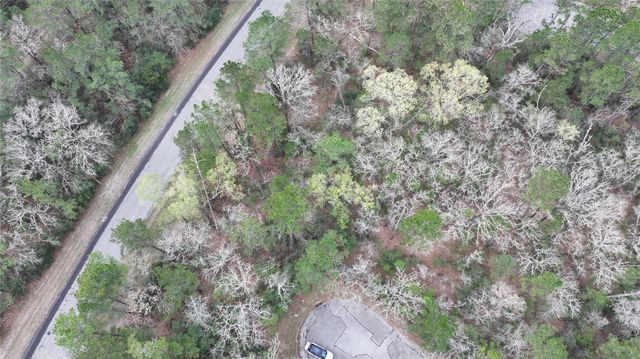 00 E Dewberry Ct, Huntsville, TX 77320