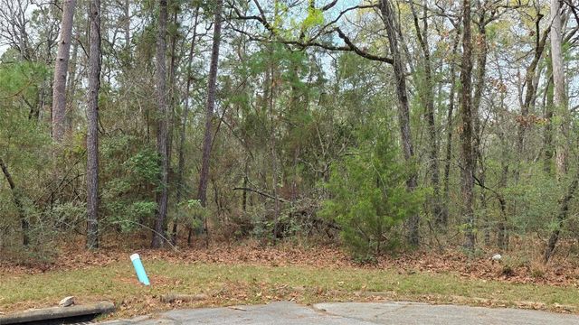 00 E Dewberry Ct, Huntsville, TX 77320