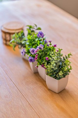 22211 Bellow Glen Drive, Katy, TX 77449