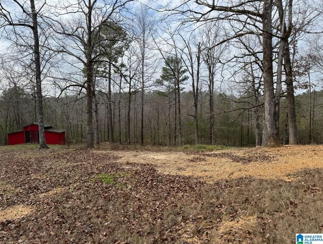 20878 SYCAMORE ROAD, Mccalla, AL 35111