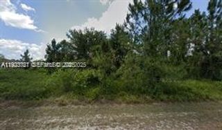 1905 Wells Ave, Lehigh Acres, FL 33972