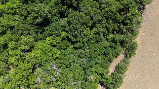 451 County Road 129, Hutto, TX 78634