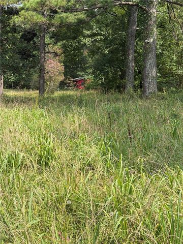 13149 W Highway 22, Dardanelle, AR 72834