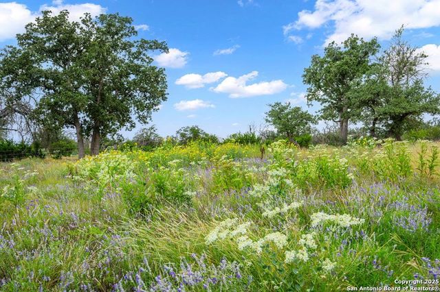 2320 fiedler road, Harper, TX 78028