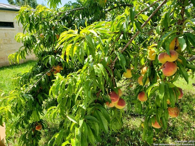 2320 fiedler road, Harper, TX 78028