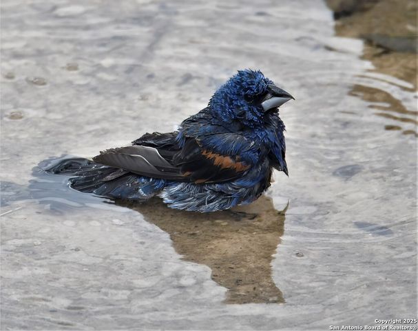 2320 fiedler road, Harper, TX 78028