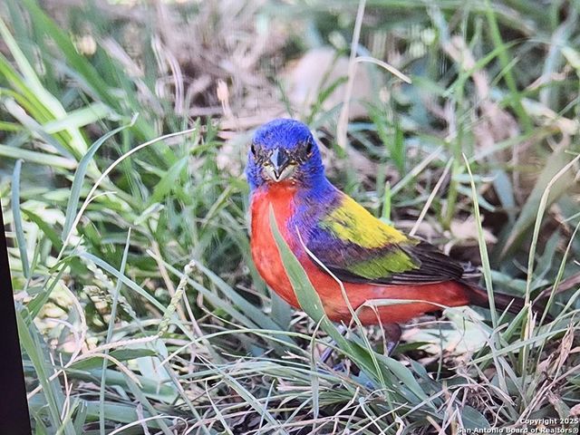 2320 fiedler road, Harper, TX 78028