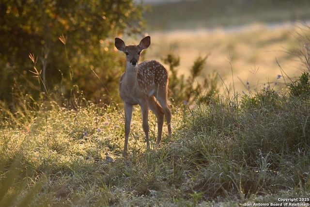 2320 fiedler road, Harper, TX 78028