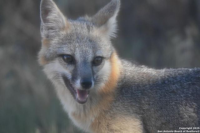 2320 fiedler road, Harper, TX 78028