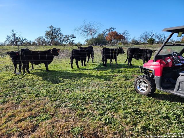 2320 fiedler road, Harper, TX 78028