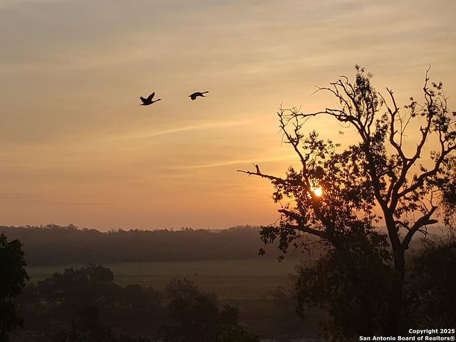 2320 fiedler road, Harper, TX 78028