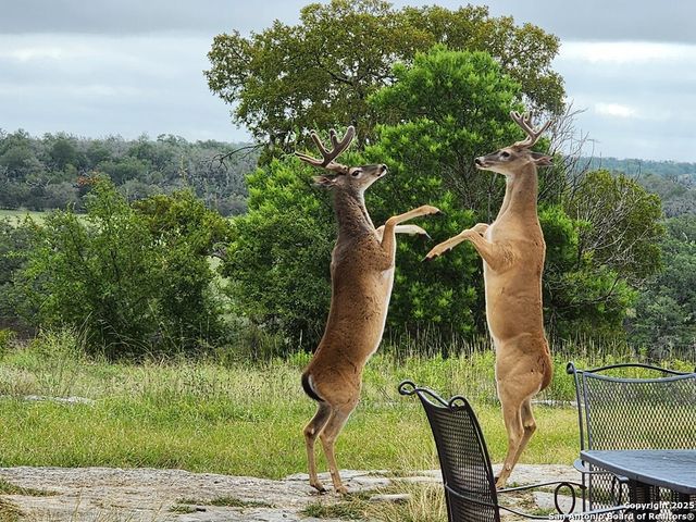 2320 fiedler road, Harper, TX 78028