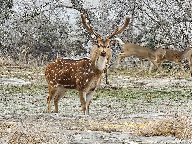 2320 fiedler road, Harper, TX 78028