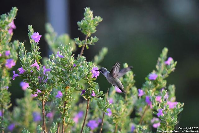 2320 fiedler road, Harper, TX 78028