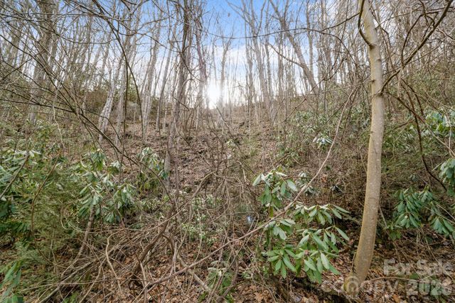 00 Forest Drive 14, Maggie Valley, NC 28751