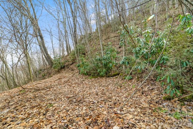 00 Forest Drive 14, Maggie Valley, NC 28751