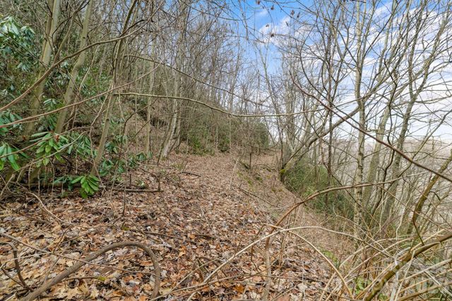 00 Forest Drive 14, Maggie Valley, NC 28751