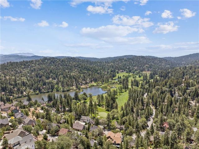26565 Kings Court, Lake Arrowhead, CA 92352