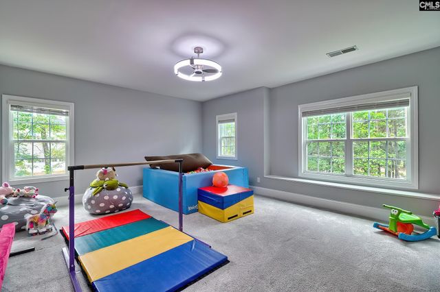 2435 Old Lexington Highway, Chapin, SC 29036