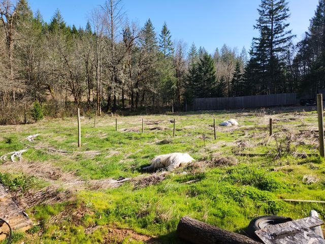 0 Redwood Highway, O'brien, OR 97534