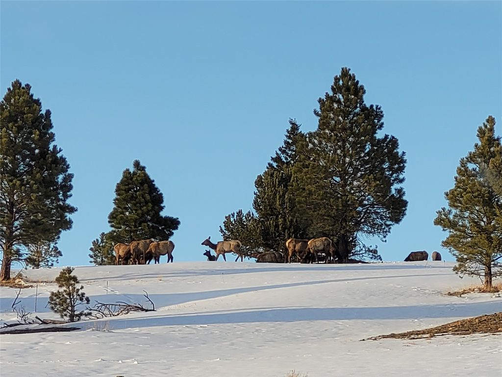 Image 51 of property listing at 456 Boulder Frontage Road, Boulder, MT 59632