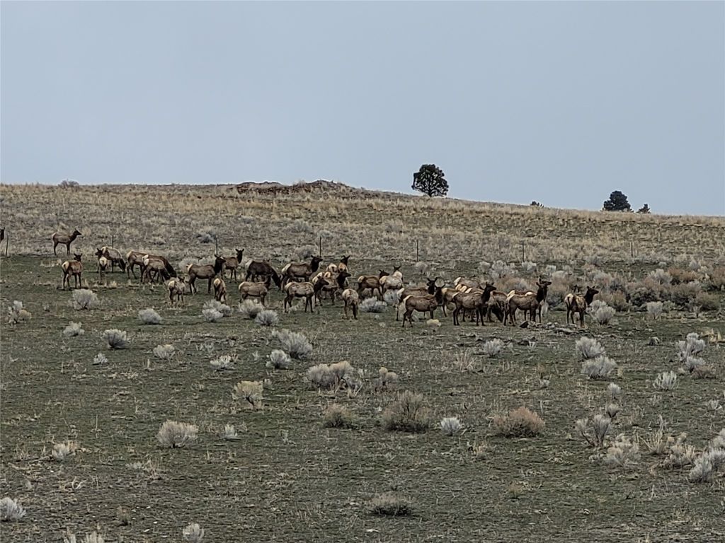 Image 52 of property listing at 456 Boulder Frontage Road, Boulder, MT 59632