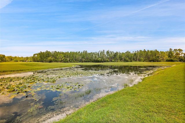 7154 MELOGOLD CIRCLE, Land O Lakes, FL 34637