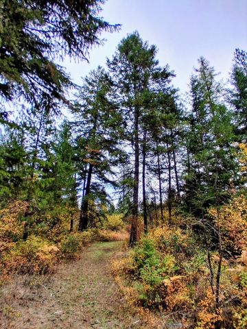 706 mccammon Rd, Elk, WA 99009