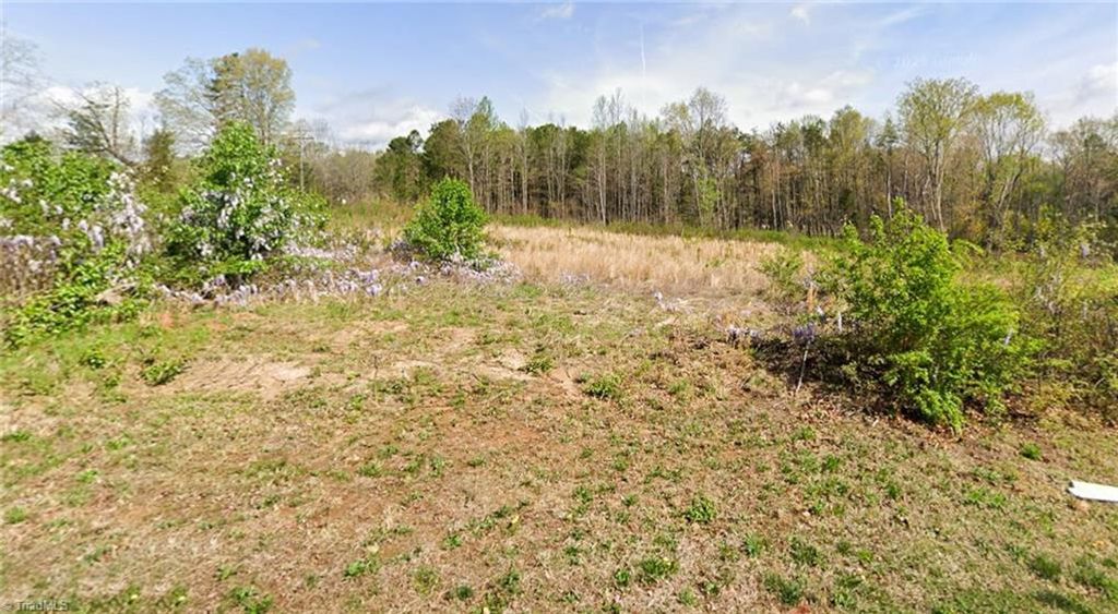 7491 Birchbend Lane Lot 1, Lewisville, NC 27023