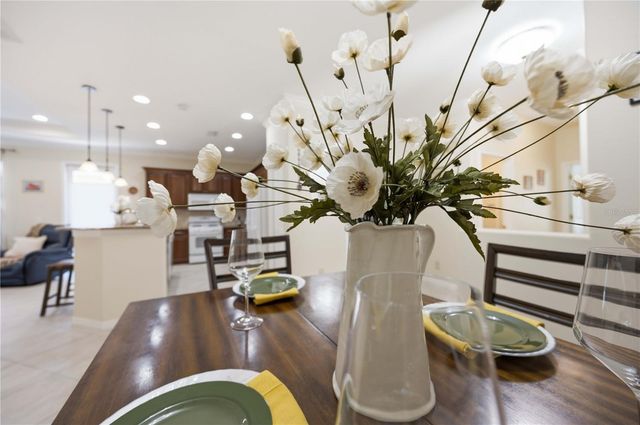 225 MESTRE PLACE, North Venice, FL 34275