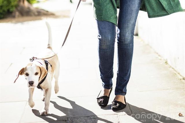 9569 Teamwork Street NW, Concord, NC 28027