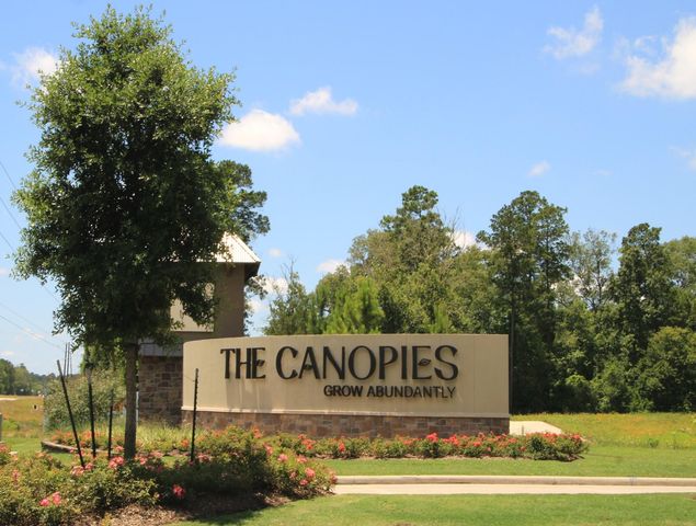 14911 Cypress Hollow Drive, New Caney, TX 77357