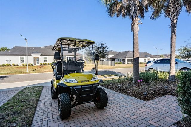 10334 ECHO DOCK LOOP, San Antonio, FL 33576